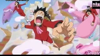 Một bầy Luffy xuất hiện tại lễ cưới #onepiece