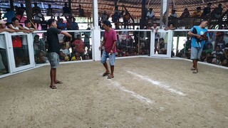 3 hits 2nd fight win my 4x winner red kelso