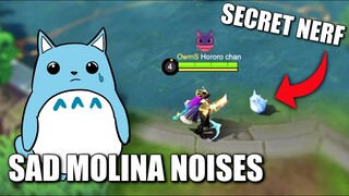 SECRET NERF TO NANA YOU DID NOT NOTICED