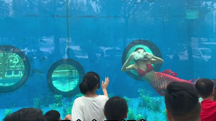 A bystander's perspective: What's it like to perform as a mermaid?