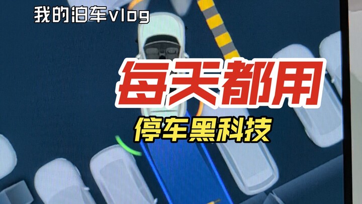 就这？你会每天用自动泊车吗？还是更愿意手动泊车？
