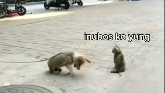 sobrang nakakatawa to guys