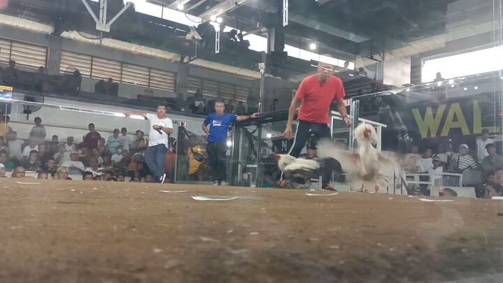 kawawayon ni preng lolong....#bananaqueGF