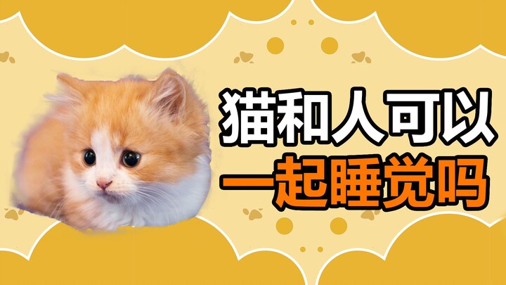 Pet Trivia: Can Cats Sleep With Their Humans?