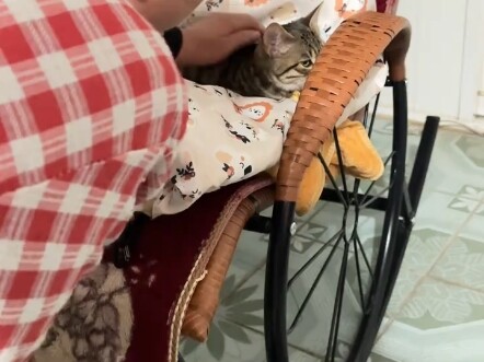 Baru sehari di rumah sudah langsung akrab dengan lingkungan dan orang-orang di sini. Lihat orang tid