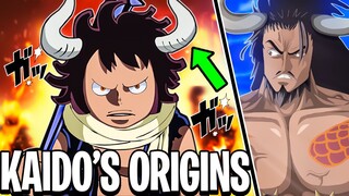 The MASSIVE Reveals Of Kaido's Flashback!