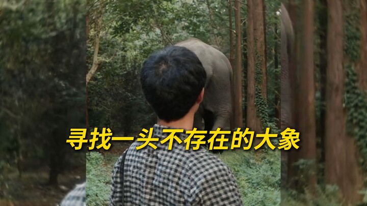 Mencari seluncuran gajah masa kecil