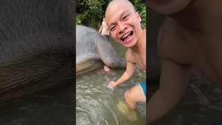 CELLOSZXZ CHALLENGE MEMEGANG GAJAH BERKAKI 5 !?