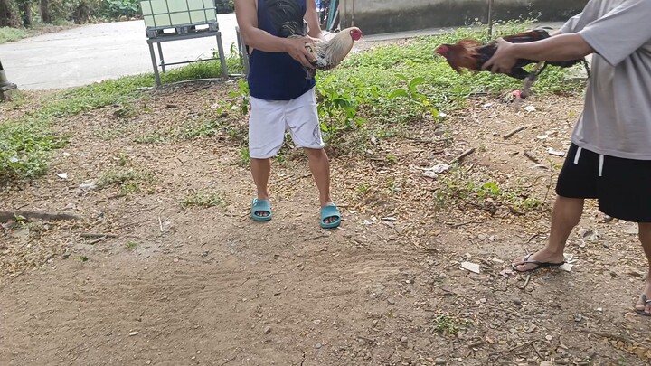 Kanawayon vs Sweater 1x Winner