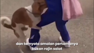 Tetap semangat kawan 😇