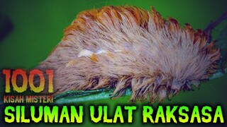 🔴 8- DI CEGAT SILUMAN ULAT RAKSASA | PODCAST 1001 KISAH