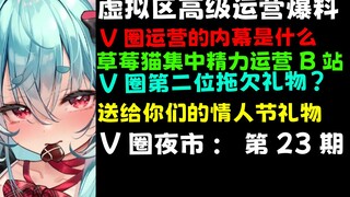 虚拟区高级运营爆料内幕！运营为何这么烂？V圈又一拖欠礼物企业！草莓猫精力运营B站！V圈夜市#23