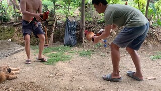 practice 🐓 7 months old