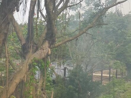 يا إلهي! هاكوريزيمي ريكو!