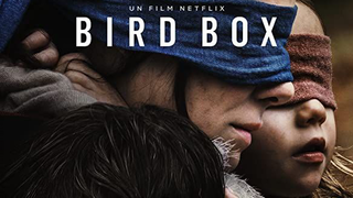 Bird Box