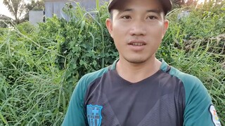 Ngày Cấm Câu Buồn Nhất Của Hai Bác Cháu. Góc Làng Quê#004
