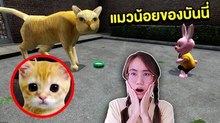 เมื่อบันนี่เลี้ยงแมวส้ม | Mind&Nat