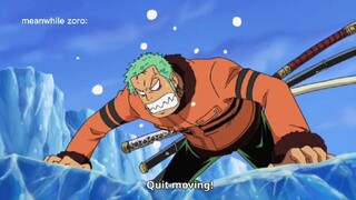 zoro while he's missing