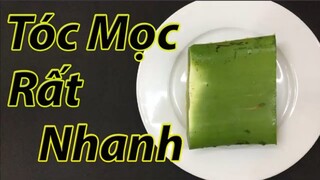 Cách trị rụng tóc và kích thích tóc mọc nhanh như mưa tại nhà bằng nha đam ( mẹo chữa bệnh )