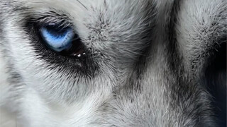 不过是拿捏你的手段罢了