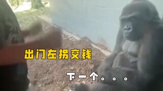 عند الخروج، انعطف يسارًا وادفع المال، التالي...