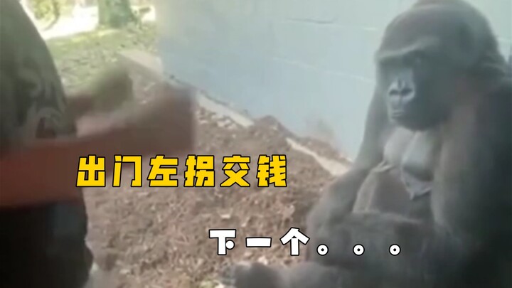 Turn left at the exit and pay up. Next...