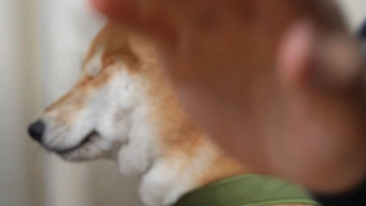 Đôi khi không cho mày chút “màu sắc” thì đúng là chẳng phân biệt được đâu là lớn, đâu là nhỏ!