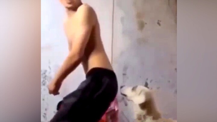 Con chó này cắn mông, cắn ra nhịp điệu nhạc điện tử~