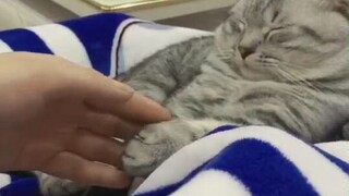 التعامل بشكل مختلف