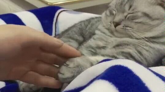 Perlakukan dengan perbedaan