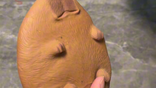 卡皮巴拉怎么被你踩到这么扁啦