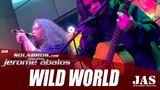 Wild World - Mr. Big (Cover) - Live At K-Pub BBQ