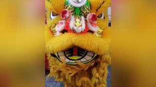 mùng8 múa lân ngày dịch duacovydi liondance mualan tettansuu2021 tet2021 thantai