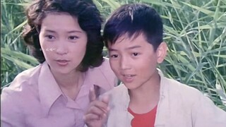 “血缘关系 从来不是衡量亲情的唯一标准”