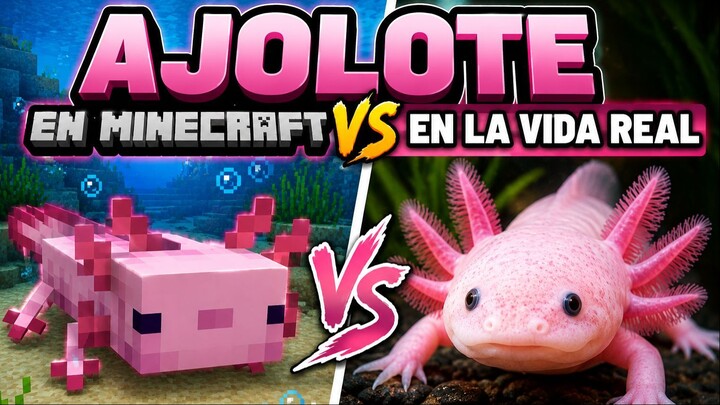MOBS de MINECRAFT VIDA REA