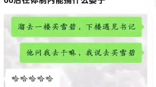 00后在体制内能捅什么篓子