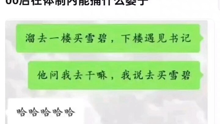 00后在体制内能捅什么篓子