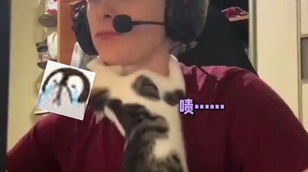 قالت القطة: لا أصدقك، عيناك فارغتان!