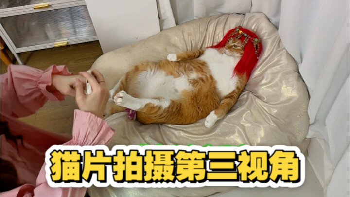 Pengambilan gambar film kucing sudut pandang ketiga