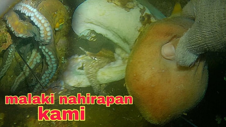 ep460 Dive2 malaking pugita nahirapan kami night spearfishing Philippines