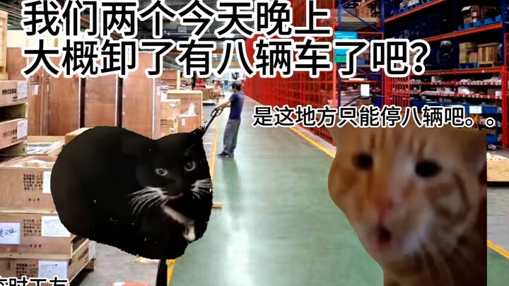 [Cat Meme] About Working as a Part-Time Delivery Sorter and Ultimately Unloading Packages from Eight