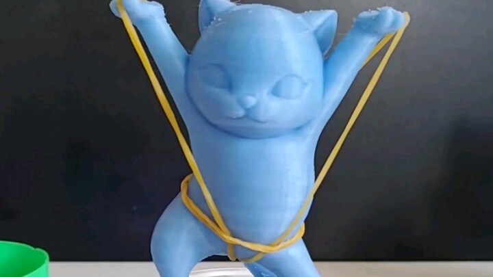 In 3D một chú mèo quyến rũ, mọi thứ đều có thể nâng lên.