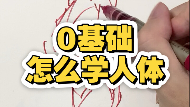 How to Learn Human Anatomy from Scratch