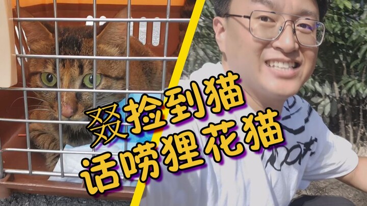 Lại là video nhặt mèo, bà chị lắm mồm chính hiệu – đây đã là con mèo thứ 8 rồi.