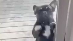 Cute 🥰