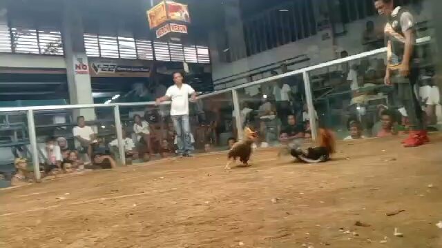 3rd fight loss San Miguel Bulacan