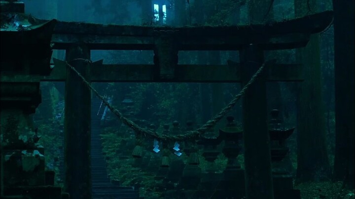 Japan | Kageyama Kumanoza Shrine | Step into the Forest of Fireflies