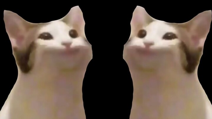 Pop Cat VS Miao Nei