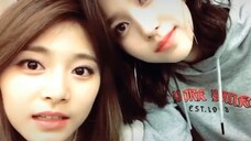 不爱凑热闹的子瑜Mina!