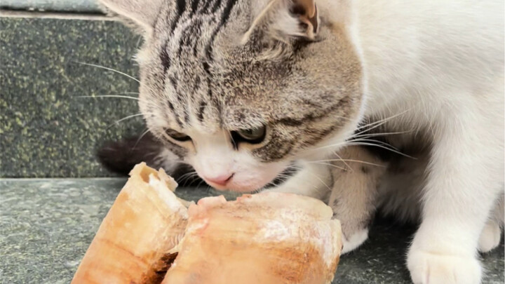 We’ve finished all the beef feet, yet I still haven’t figured out whether my husband’s “cow-raising”